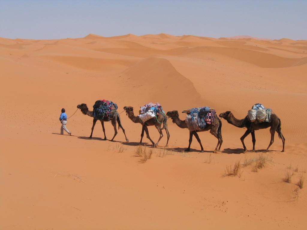 Camel Trek Bivouac Hotell Merzouga Rom bilde